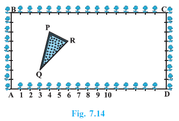 Page 171 Chapter 7 Class 10th Non-Rationalised NCERT 2019-20